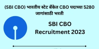 sbi cbo recruitment 2023