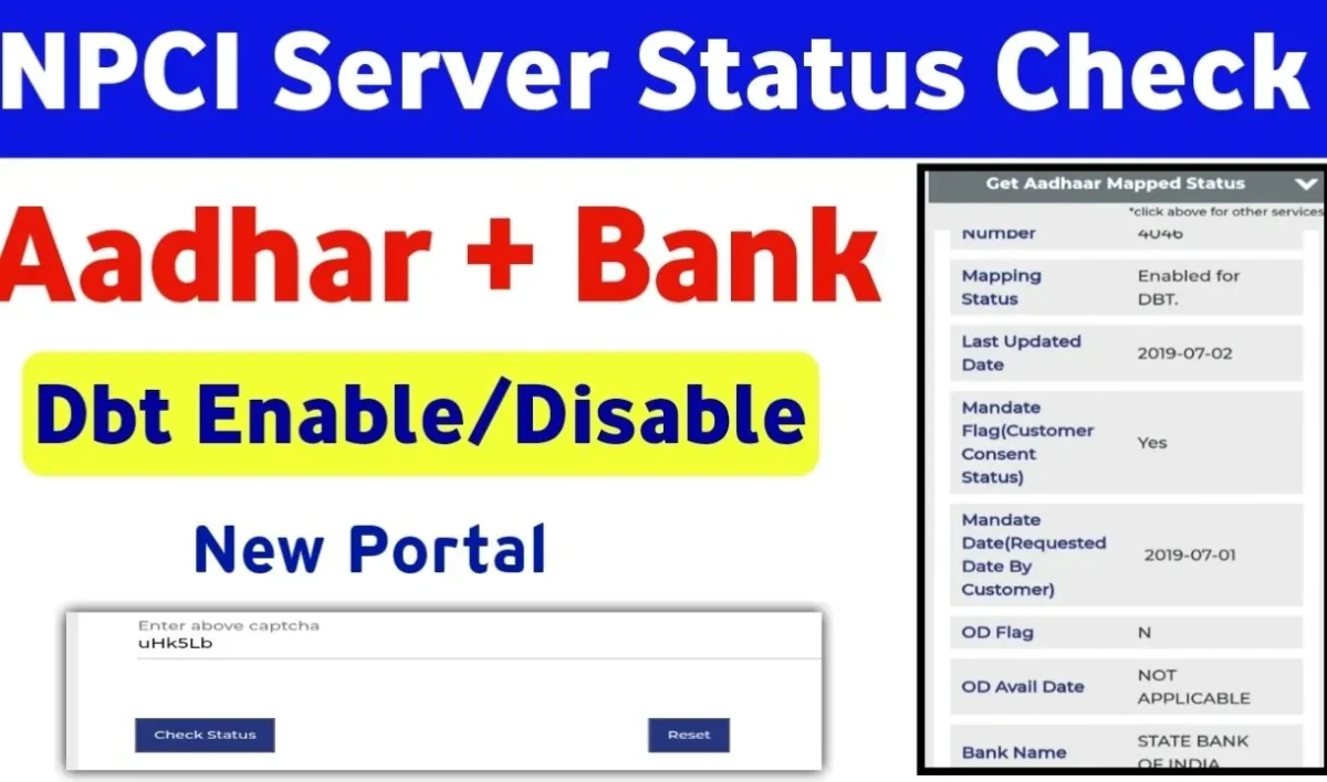 dbt enable disable status 2