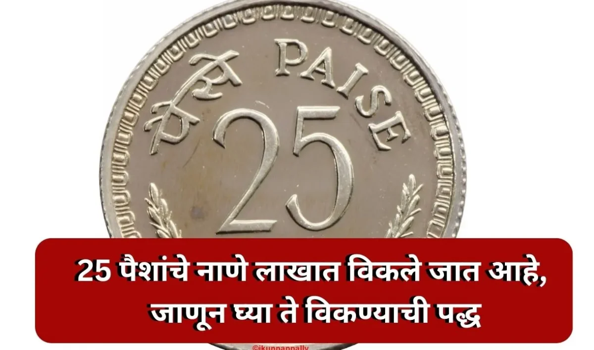 25 paise coin image