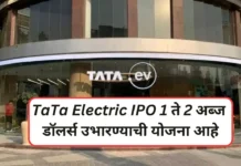TaTa Electric IPO